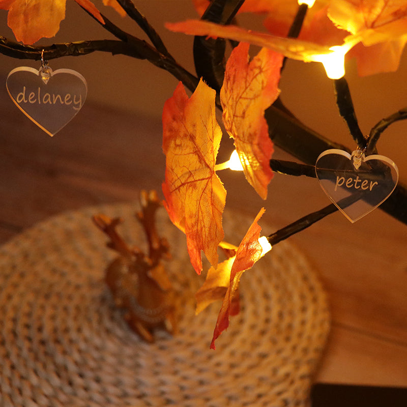 Personalized Heart Photo Tree Lights