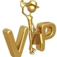 VIP Service