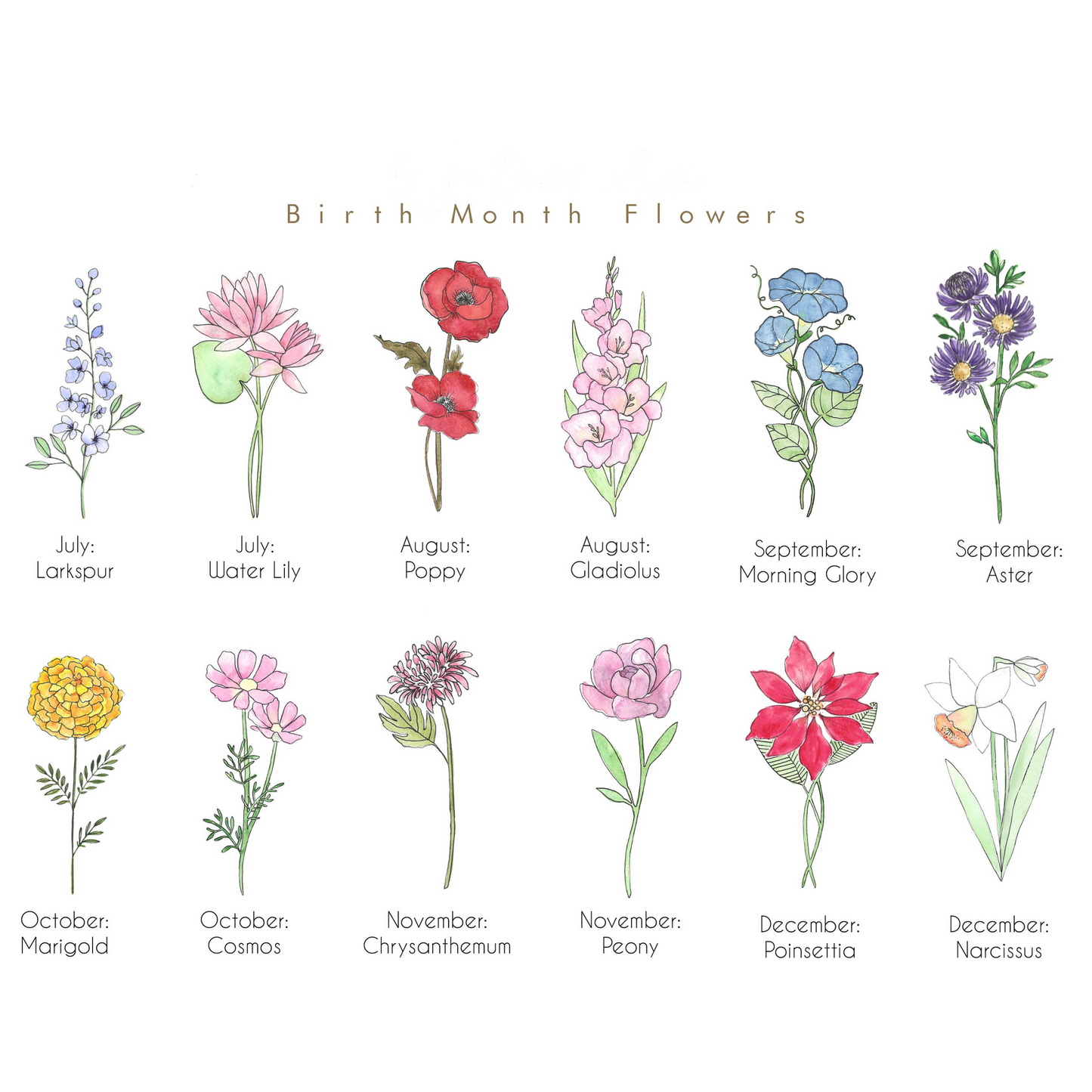 Mother's Day Birth Month Flower Family Sign